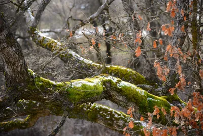 DSC_0804 (Large).JPG